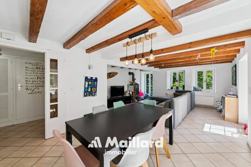 Authentique ferme de 5.5 pièces avec grange sur une vaste parcelle de 2'309 m2 (7)