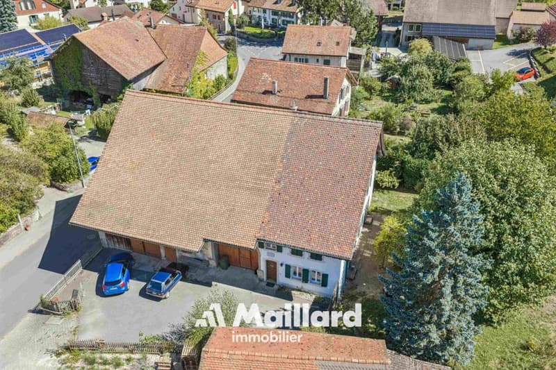 Authentique ferme de 5.5 pièces avec grange sur une vaste parcelle de 2'309 m2 (19)