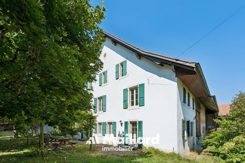 Authentique ferme de 5.5 pièces avec grange sur une vaste parcelle de 2'309 m2 (3)