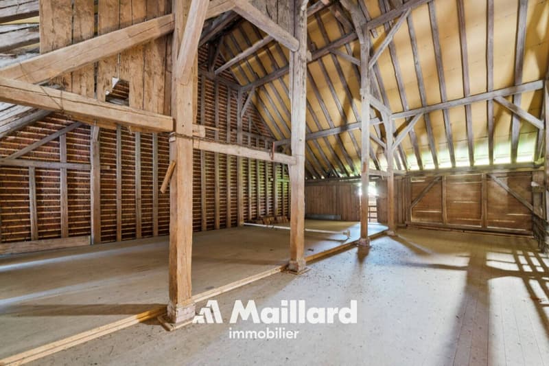 Authentique ferme de 5.5 pièces avec grange sur une vaste parcelle de 2'309 m2 (16)