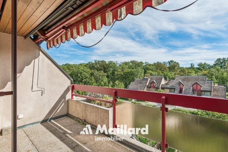 Charmant appartement lumineux de 3.5 pièces situé dans un environnement paisible (8)