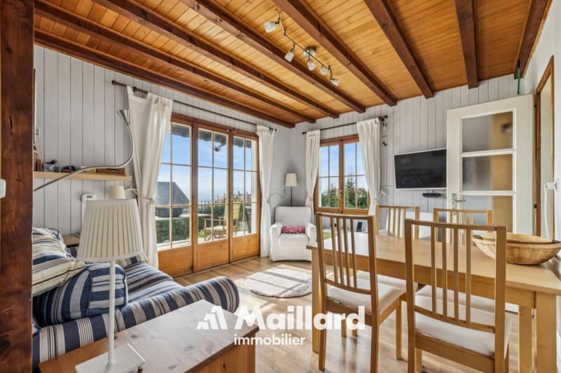 Charmant chalet, avec vue sur le lac et les Alpes, implantés sur une belle parcelle constructible ! (3)