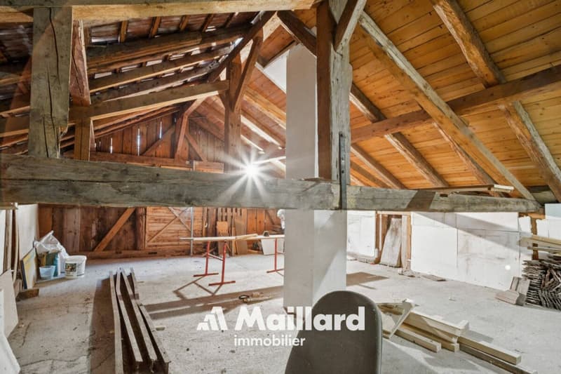Maison de caractère atypique avec potentiel d'agrandissement (8)