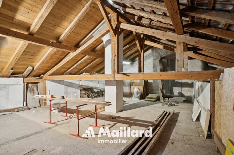 Maison de caractère atypique avec potentiel d'agrandissement (9)