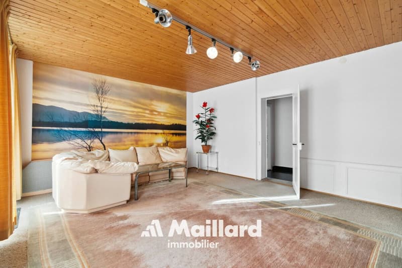 Grande maison villageoise avec 2 appartements indépendants (7)