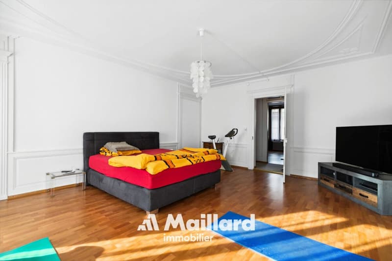 Grande maison villageoise avec 2 appartements indépendants (9)