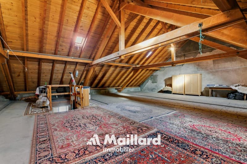 Grande maison villageoise avec 2 appartements indépendants (13)