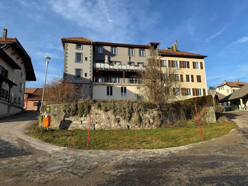 Immeuble mixte avec rendement (5)