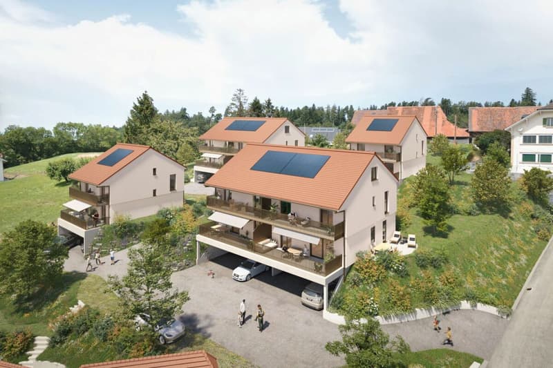 La Colline - Dernière villa individuelle 5.5 pièces (5)