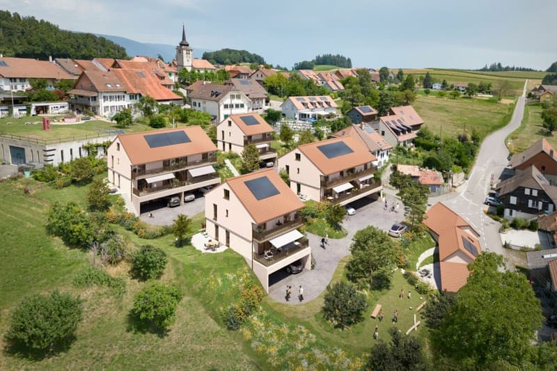 La Colline - Dernière villa individuelle 5.5 pièces (8)