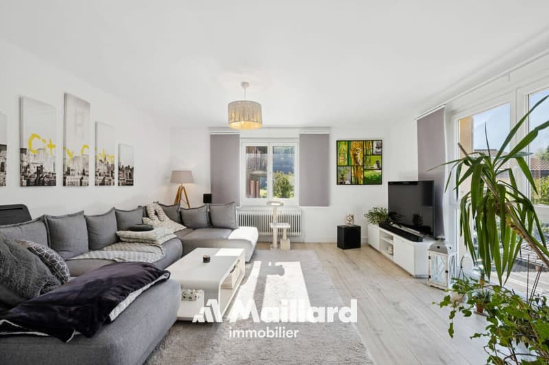 Magnifique villa individuelle entièrement rénovée (3)