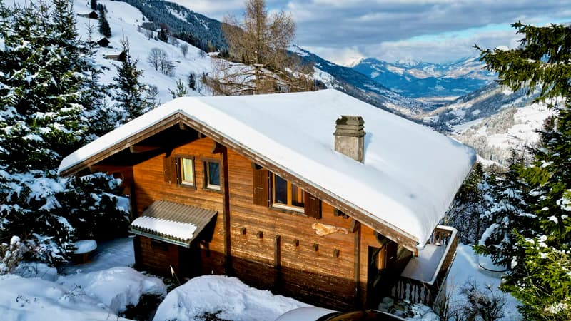 Superbe chalet dans les Alpes suisses- Portes du Soleil (1)