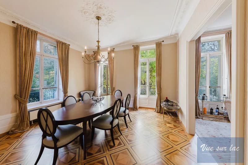 Magnifique Hôtel Particulier, jardin enchanteur, à deux pas du lac (8)