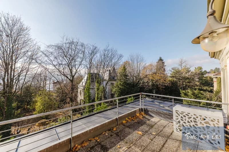 Magnifique Hôtel Particulier, jardin enchanteur, à deux pas du lac (13)