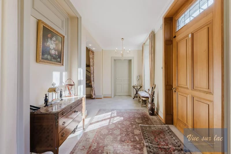 Magnifique Hôtel Particulier, jardin enchanteur, à deux pas du lac (4)