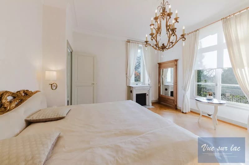 Magnifique Hôtel Particulier, jardin enchanteur, à deux pas du lac (11)