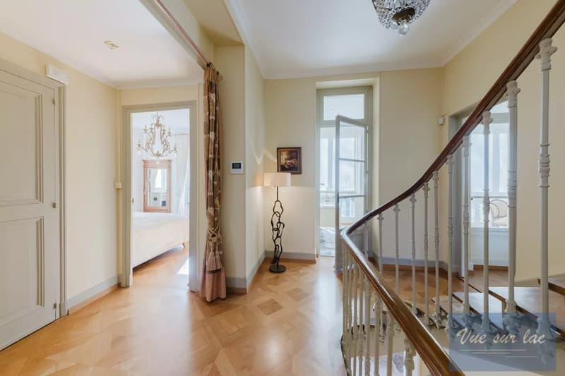 Magnifique Hôtel Particulier, jardin enchanteur, à deux pas du lac (5)