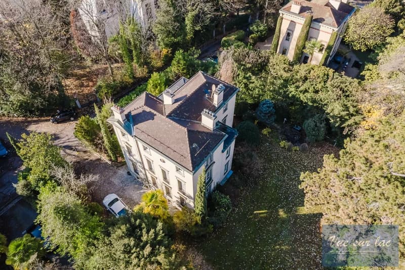 Magnifique Hôtel Particulier, jardin enchanteur, à deux pas du lac (3)