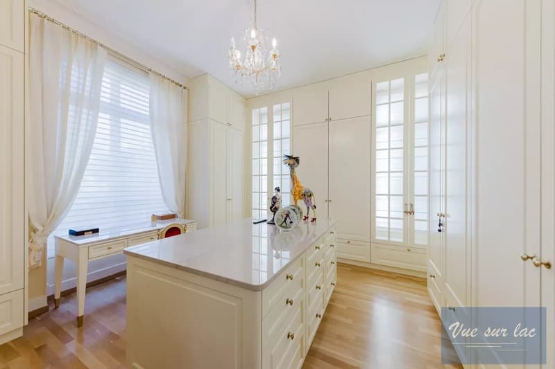 Magnifique Hôtel Particulier, jardin enchanteur, à deux pas du lac (12)