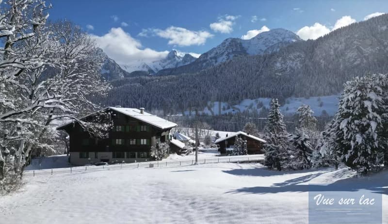 Votre chalet dans l'Oberland Bernois, la magie de la Suisse (13)