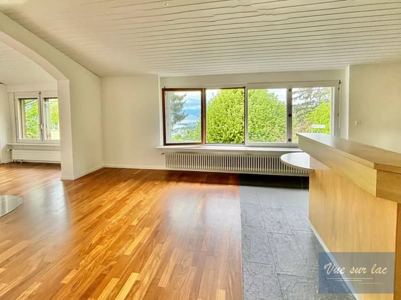 Maison familiale des années 60, vue sur lac. (13)