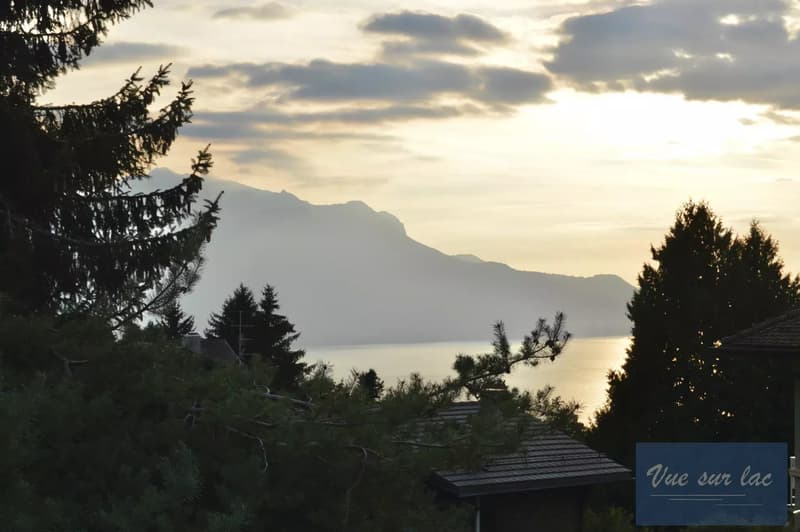 Maison familiale des années 60, vue sur lac. (11)