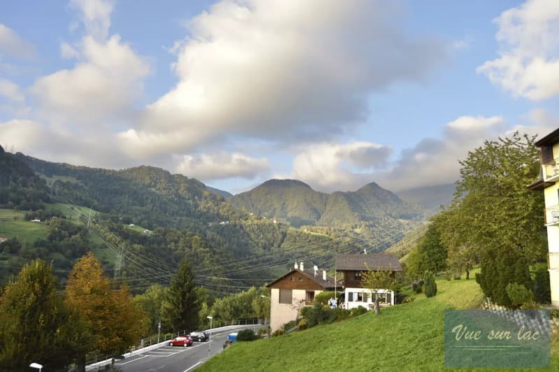Maison familiale des années 60, vue sur lac. (4)