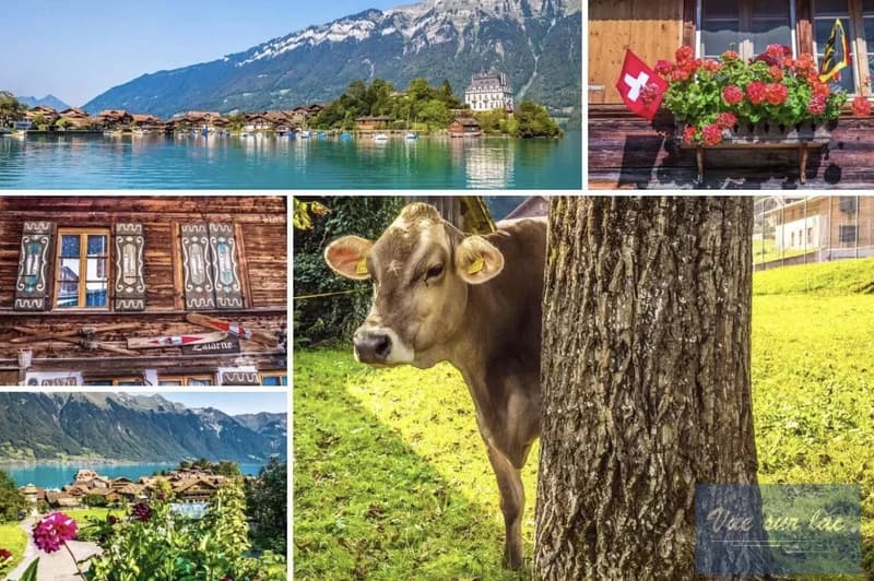 Votre duplex dans l'Oberland Bernois, la magie de la Suisse (13)