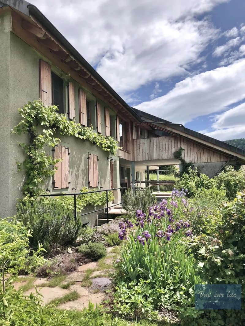 Ferme magnifiquement rénovée, avec 2 box à chevaux (5)