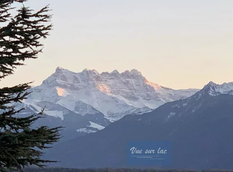 Superbe appartement meublé au bord de l'eau, au centre de Montreux (13)