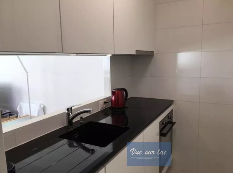 Superbe appartement meublé au bord de l'eau, au centre de Montreux (9)