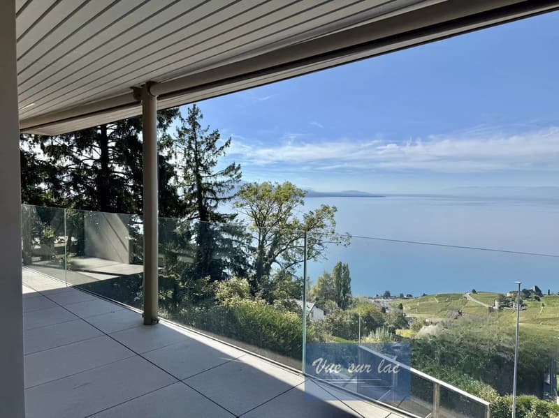 Appartements neufs, vue panoramique sur le lac! (1)