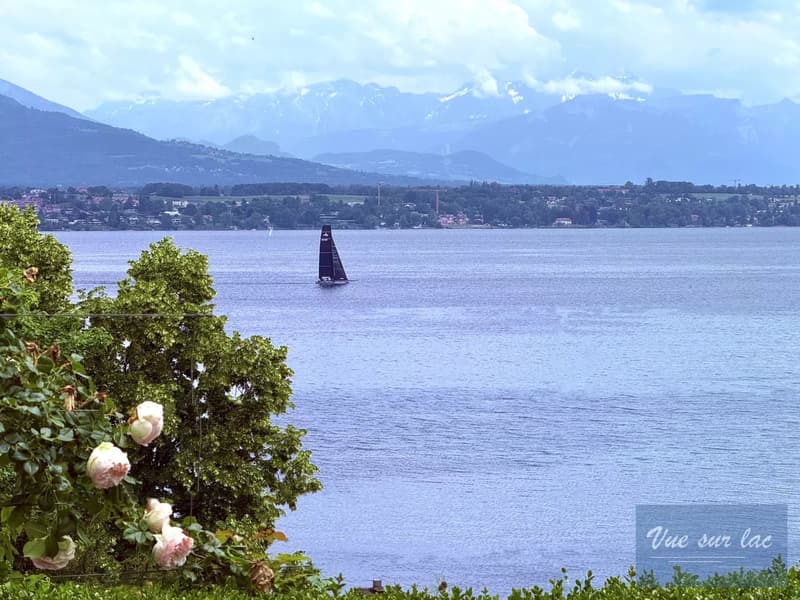 Penthouse de luxe à Tannay, vue sur le lac Leman et les Alpes (6)