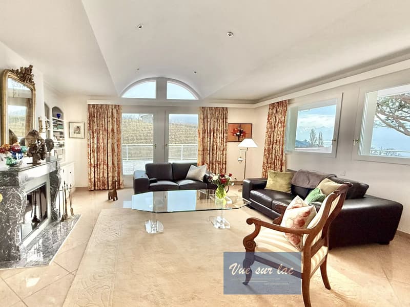 Prestigieuse Propriété d'Architecte avec Vue Panoramique (6)