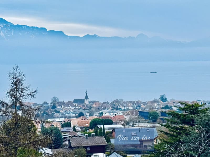 Prestigieuse Propriété d'Architecte avec Vue Panoramique (3)