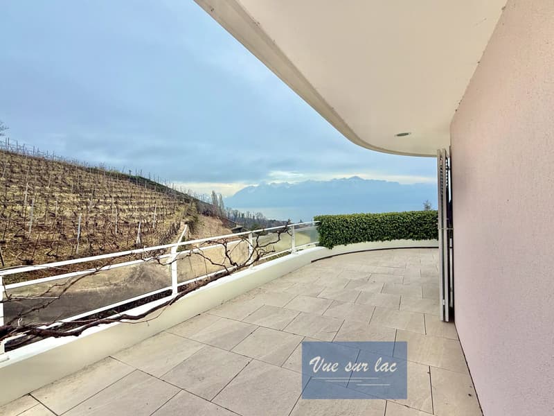 Prestigieuse Propriété d'Architecte avec Vue Panoramique (4)
