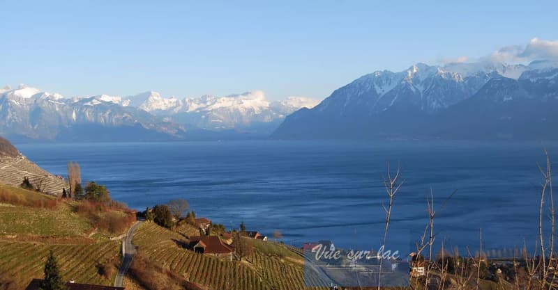 Appartement moderne avec vue spectaculaire à Lavaux (12)