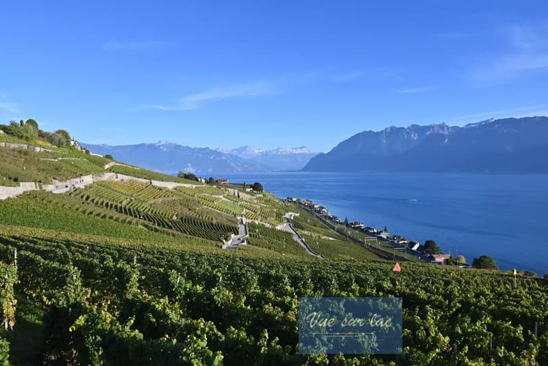 Appartement moderne avec vue spectaculaire à Lavaux (13)