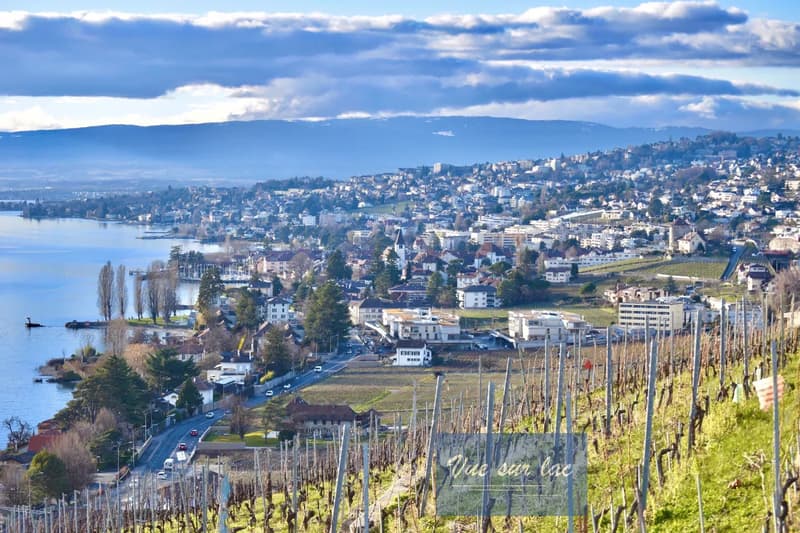 Appartement moderne avec vue spectaculaire à Lavaux (3)