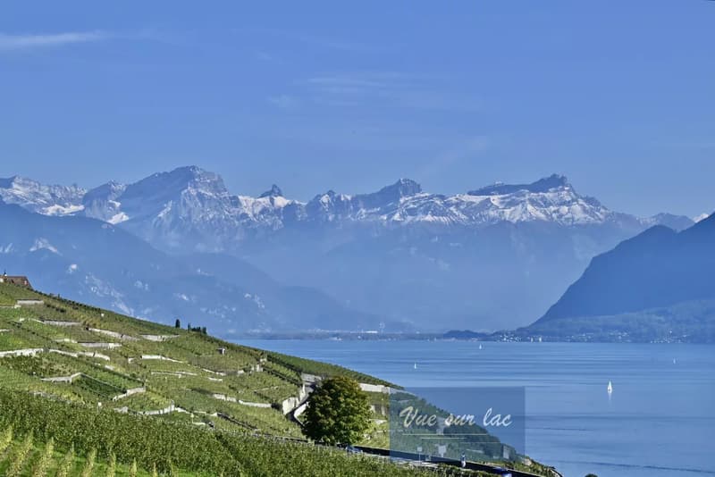 Appartement moderne avec vue spectaculaire à Lavaux (4)