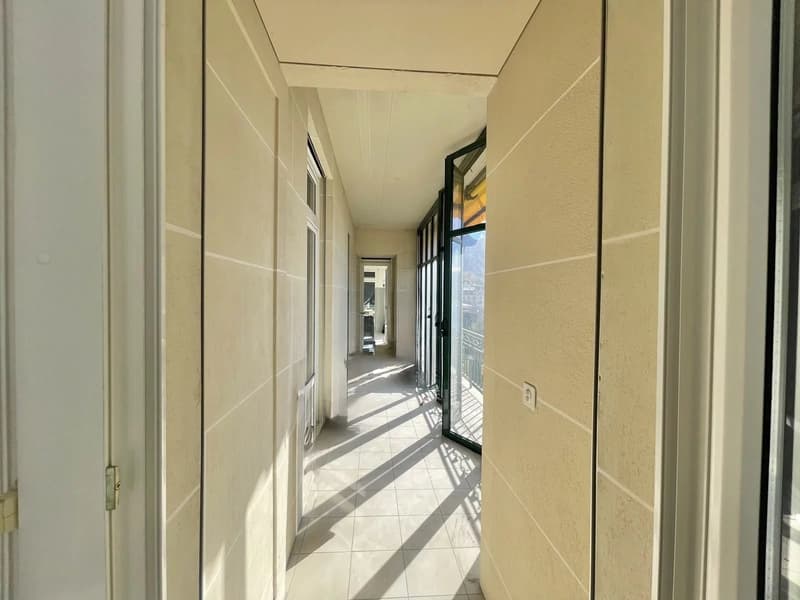 Sublime appartement rénové, cachet, confort, à deux pas du lac ! (4)