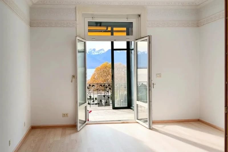 Sublime appartement rénové, cachet, confort, à deux pas du lac ! (3)