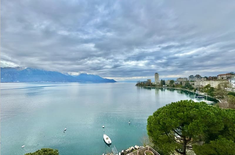 Sublime appartement rénové, cachet, confort, à deux pas du lac ! (10)