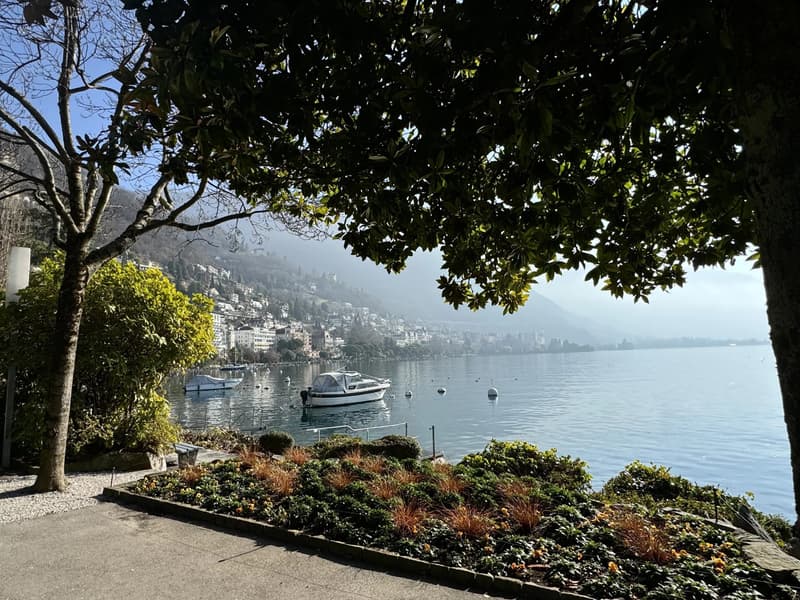 Appartement de Luxe à Territet avec Vue Magnifique (4)