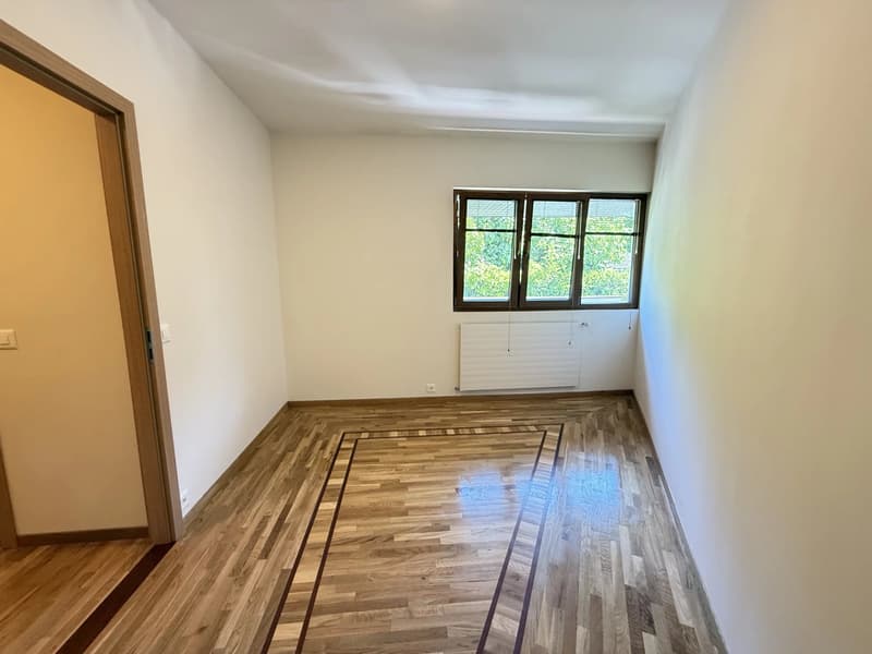 VILLA DE LUXE À VESSY AVEC VUE CAMPAGNE ET PISCINE (10)