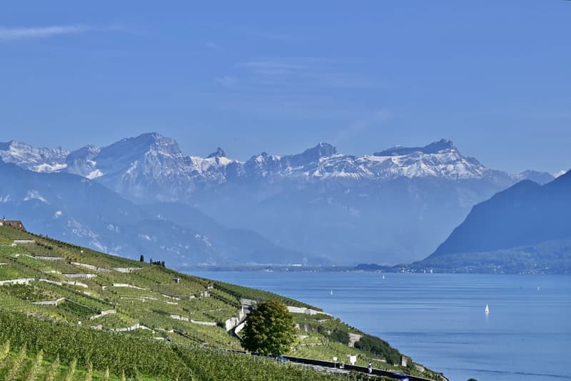 Appartement moderne avec vue spectaculaire à Lavaux (4)