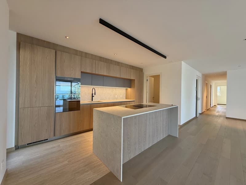 Appartement moderne avec vue spectaculaire à Lavaux (4)