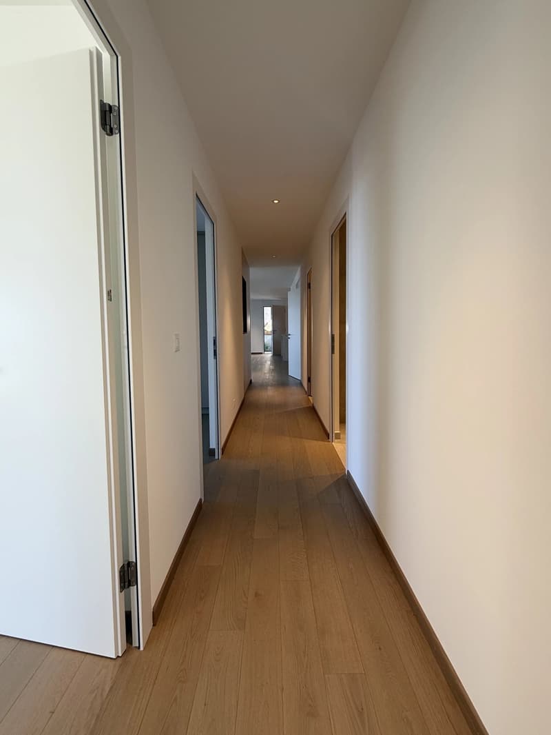 Appartement moderne avec vue spectaculaire à Lavaux (7)