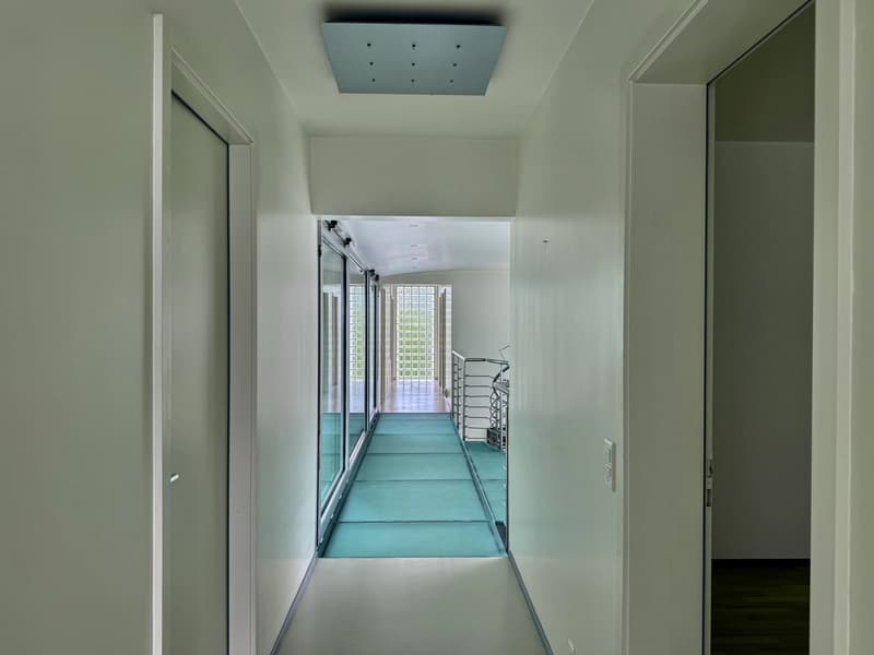 Grande villa contemporaine de 500m², piscine, calme, vue sur le Jura (12)