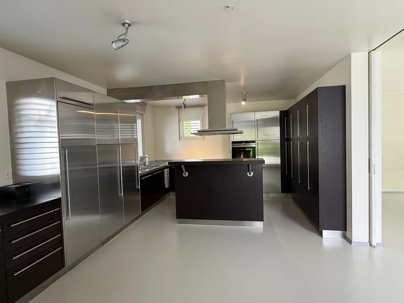 Grande villa contemporaine de 500m², piscine, calme, vue sur le Jura (8)